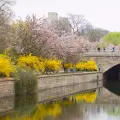 [Photography-Landscape] Spring in Beijing 2023