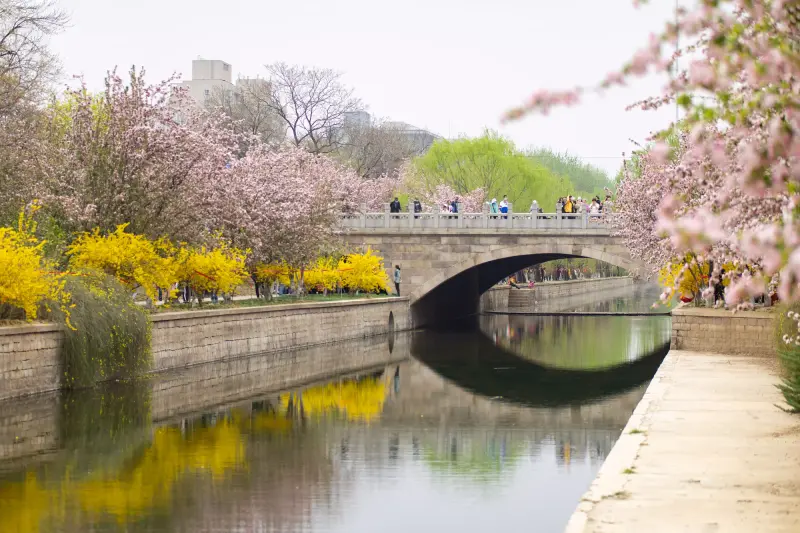 Featured image of post [Photography-Landscape] Spring in Beijing 2023